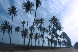 une plage à Cotonou