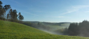 brume au matin